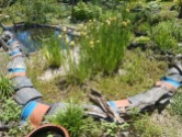 wetland area and pond to help treat the greywater