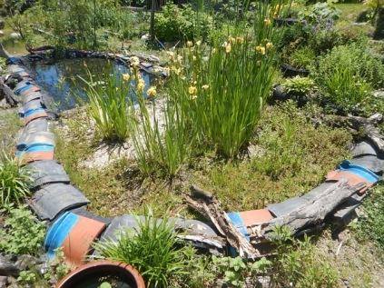 wetland area and pond to help treat the greywater